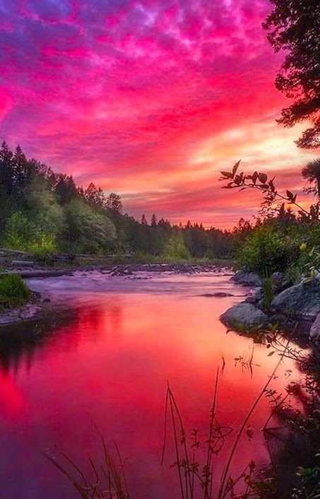 Garnet Glow Art Print by Gary Randall