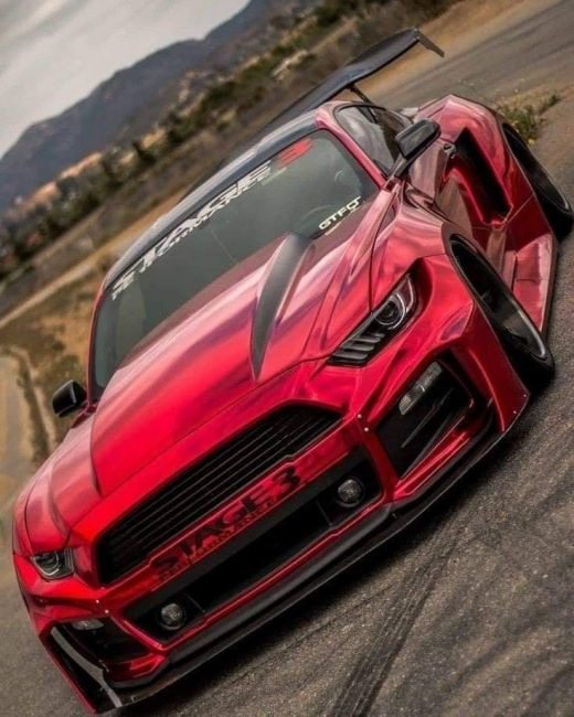 Mustangs !!