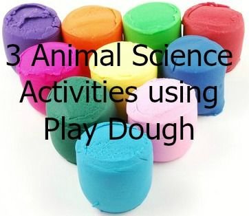 3 Great Animal Science activities that use Play Dough