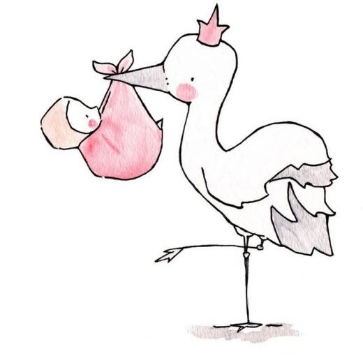 Stork Queen/King — Nursery Art Illustration Print, Pink, Blue