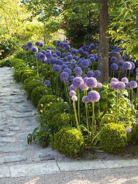 modern garden border