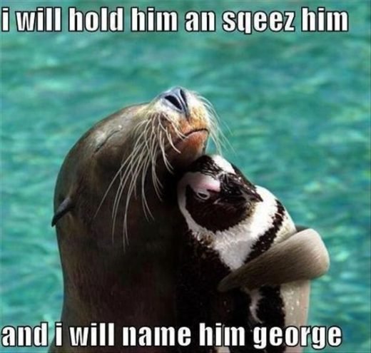 23 Funny Animal Pics –