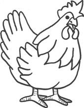 Cute And Beautiful hens Colour Drawing HD Wallpaper