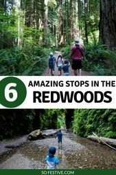 Redwood National Park With Kids- Family Travel Tips