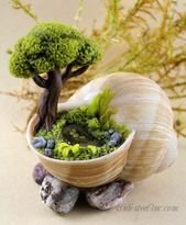 Take Your Pick! The #Top 50 Mini-Fairy #Garden Design Ideas More