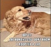 49 Funny Animal Memes To Leave You Laughing | CutesyPooh