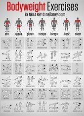 Body Weight Exercises