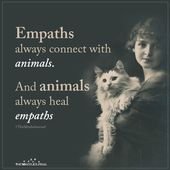 Empaths always connect with animals. And animals always heal empaths