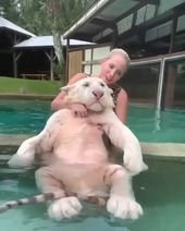 Playing with big Cat