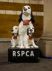 Remember – It’s not just for Christmas