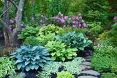 22 Best Design Ideas for Hosta Gardens – ideacoration.co