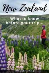 54 Things to Know Before Traveling in New Zealand |  Two Wandering Soles