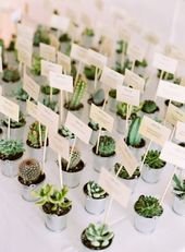 Everything You Need for a Cool Cactus Wedding!