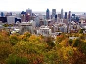 From a Local: 14 Essential Things To Do In Montreal