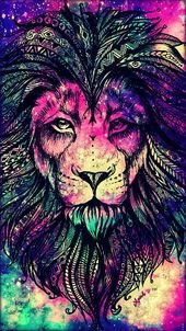 68+ Colorful Lion Wallpapers on WallpaperPlay