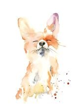 Artist’s whimsical watercolor animals bring attention to conservation