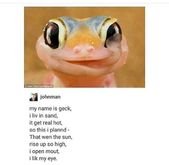 Here Are Some Funny Animal Poems To Brighten Up Your Day
