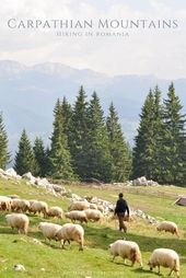 Hiking in Romania’s Carpathian Mountains