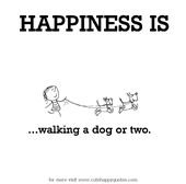 How to Train Your Dog & Top Training Tips | RSPCA