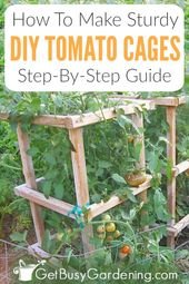 How To Make Sturdy DIY Tomato Cages