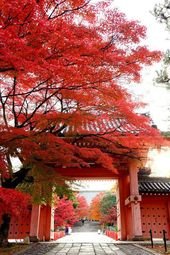 Kyoto, Japan