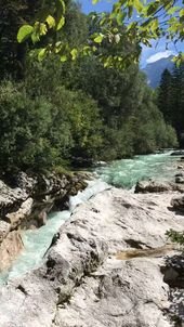 Nature Lover