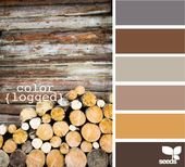 The 15 Best Design Seeds Palettes