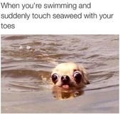22 Insane Lies We All Believed Growing Up For Some Reason