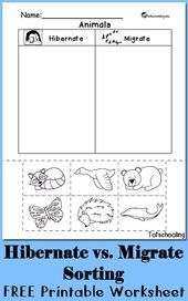Hibernation vs. Migration: Animal Sorting Worksheet