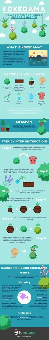 DIY Kokedama: How to Make a Japanese Moss Ball Garden [Infographic