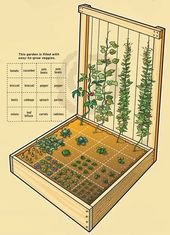 Inspirational designs and plans for vegetable garden beds – Elaine