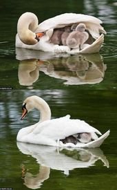 Photos That Say More Than Just a Thousand Words