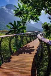 In Images: South Africa’s Stunning Treetop Walkway