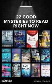 22 Mystery Must-Reads for Fans of Rizzoli and Isles