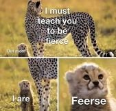 Little fierce guy