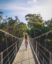 This Park In San Diego Has a 375-Foot Suspension Bridge That You Can Walk On