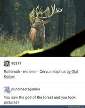 Funny Tumblr Posts All About Animals (Part 2)