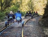 Pedal Through The Redwood Forest In Northern California For The Ultimate Outing