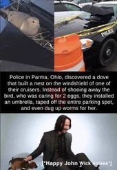 Roundup Of Cute Animal Memes & Images (44 Memes)