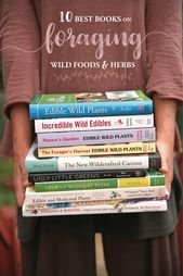 The Ten Best Books on Foraging Wild Foods and Herbs