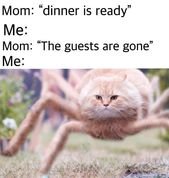 Twenty-Three Animal Memes Because, Well, They’re Better Than People Memes