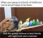 Uplifting Memes Because We Could All Use A Little Positivity Right Now