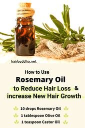 Why Use Rosemary Oil for Hair Growth (and Reduce Hair Loss) – hair buddha