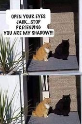 Stop doing that, Jack!