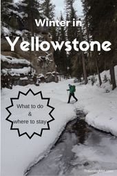 Top Things to Do in Yellowstone in Winter – TRAVELING MEL’S YELLOWSTONE TRIPS