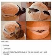Caturday Is Here To Slay (36 Cat Memes)