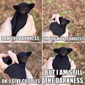 Happy Memes, Tweets, And Pics To Help You Through The Seasonal Depression