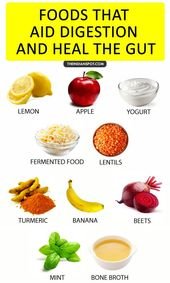 How To Heal Your Gut For Overall Health
