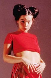 Picture of Björk