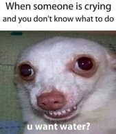 Twenty-Nine Random Memes Meant To Decimate Boredom